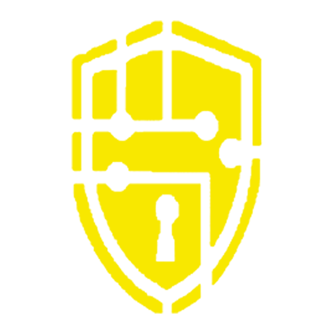 Logo ICAVI SECURE
